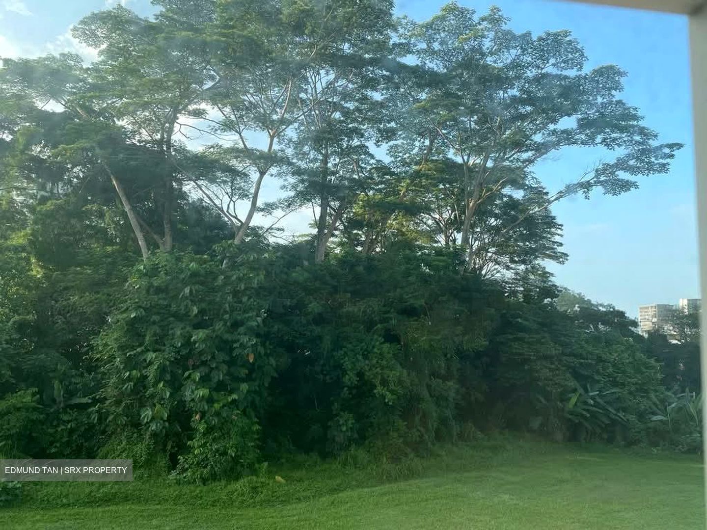 Mera Gardens (D23), Terrace #553724441
